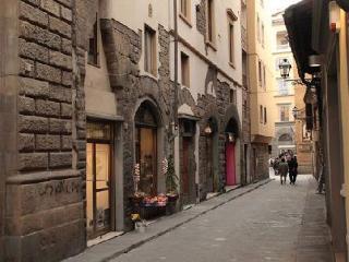 La Signoria Di Firenze